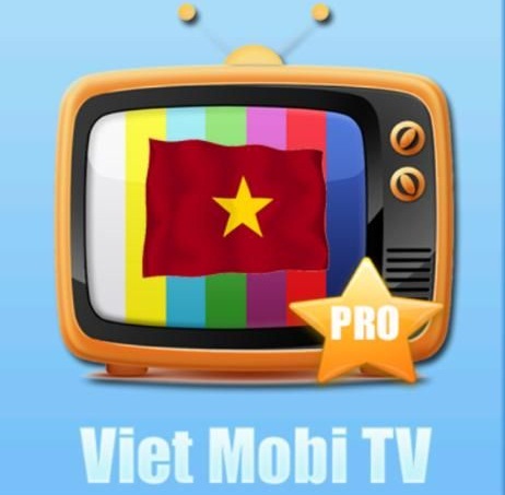 mcc-viet-nhat-161